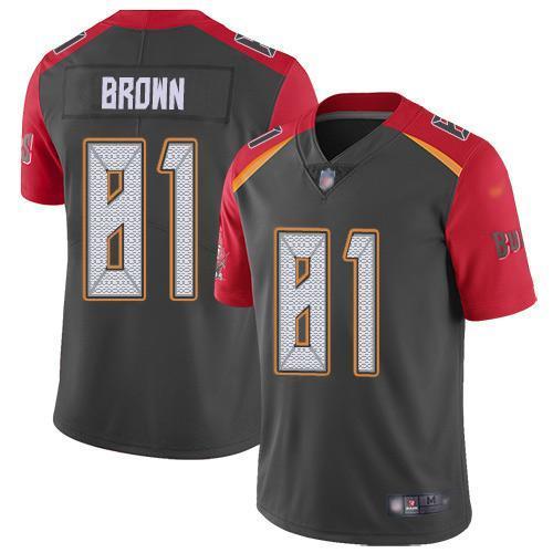 Nike Tampa Bay Buccaneers #81 Antonio Brown Gray Stitched NFL Limited Inverted Legend Jersey