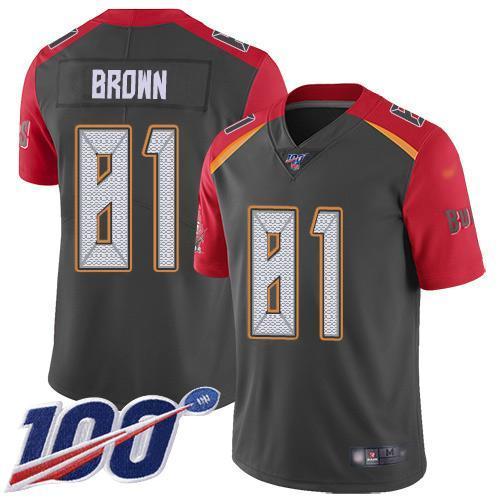 Nike Tampa Bay Buccaneers #81 Antonio Brown Gray Stitched NFL Limited Inverted Legend 100th Season Jersey