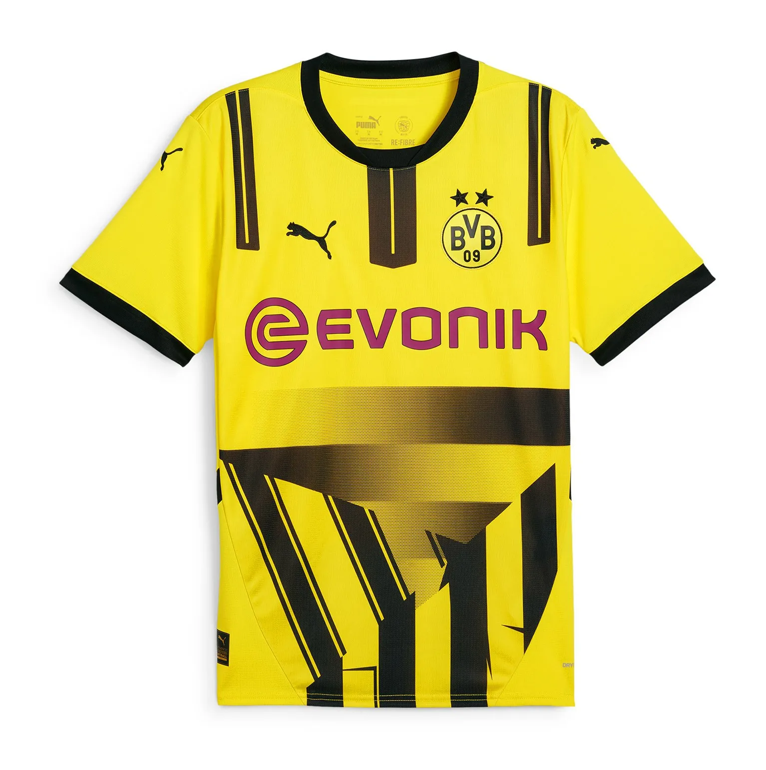 Jersey Borussia Dortmund Coupe 2024/25
